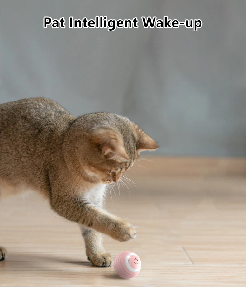 Interactive Cat Toy Indoor Automatic Rolling Ball