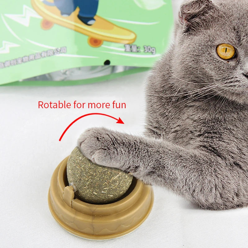 Catnip Wall Stick-on Balls Healthy & Natural Removes Hair Balls to Promote Digestion Cat Grass Snack