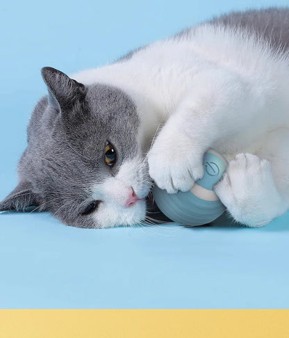 Interactive Cat Toy Indoor Automatic Rolling Ball
