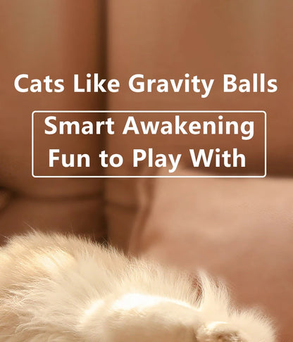 Interactive Cat Toy Indoor Automatic Rolling Ball