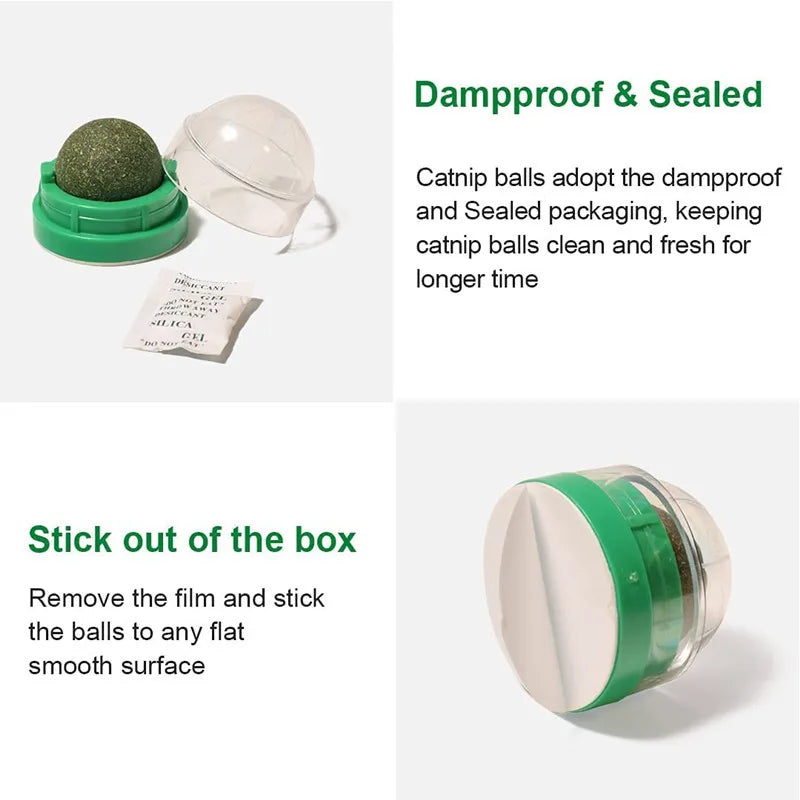 Catnip Wall Stick-on Balls Healthy & Natural Removes Hair Balls to Promote Digestion Cat Grass Snack