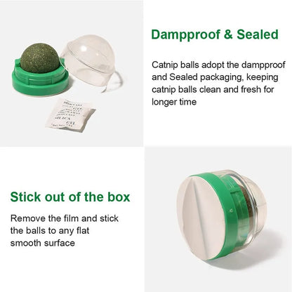 Catnip Wall Stick-on Balls Healthy & Natural Removes Hair Balls to Promote Digestion Cat Grass Snack