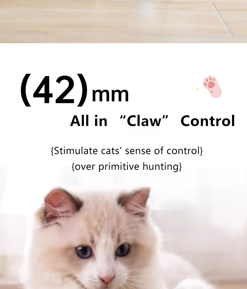 Interactive Cat Toy Indoor Automatic Rolling Ball