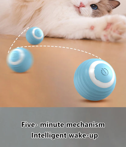 Interactive Cat Toy Indoor Automatic Rolling Ball
