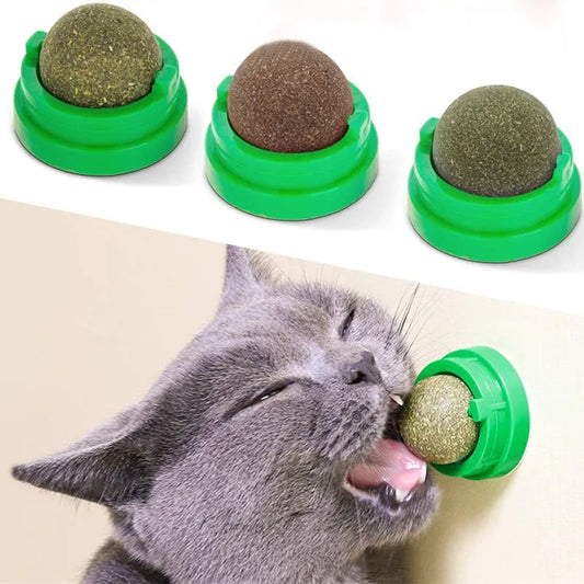 Catnip Wall Stick-on Balls Healthy & Natural Removes Hair Balls to Promote Digestion Cat Grass Snack