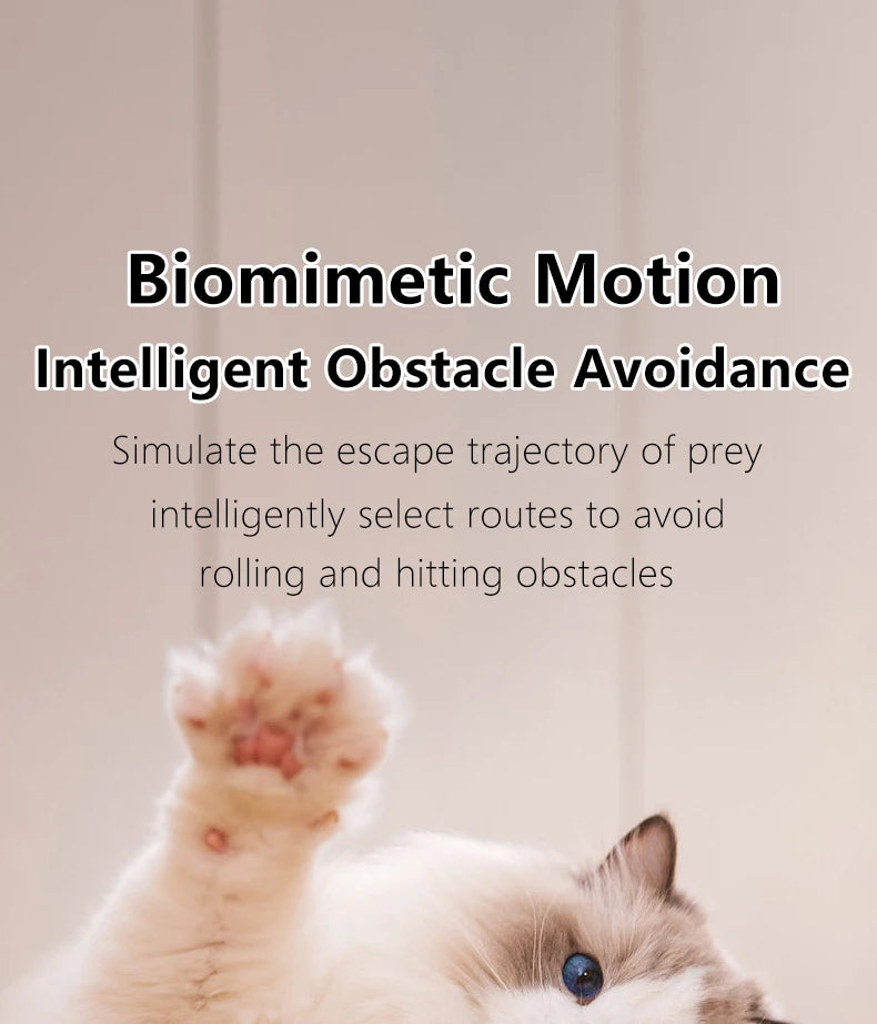 Interactive Cat Toy Indoor Automatic Rolling Ball