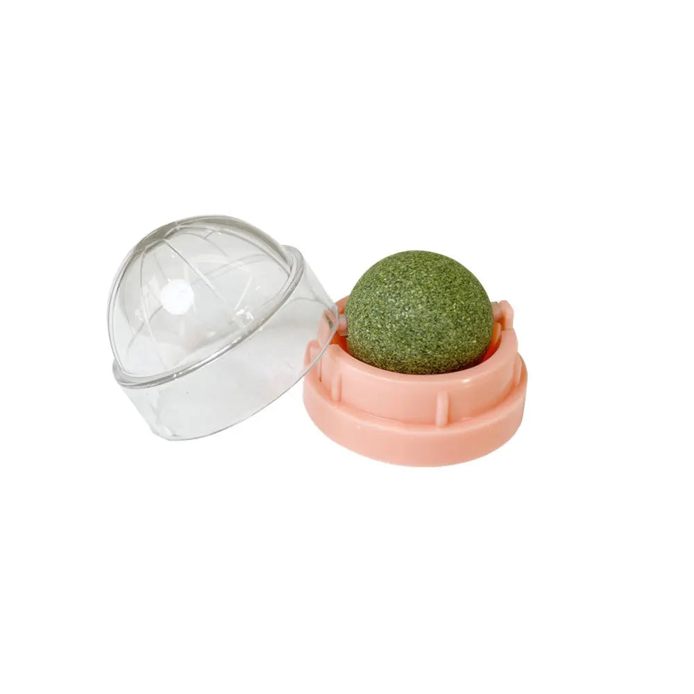Catnip Wall Stick-on Balls Healthy & Natural Removes Hair Balls to Promote Digestion Cat Grass Snack