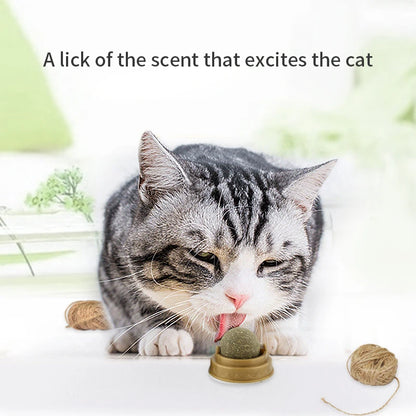 Catnip Wall Stick-on Balls Healthy & Natural Removes Hair Balls to Promote Digestion Cat Grass Snack